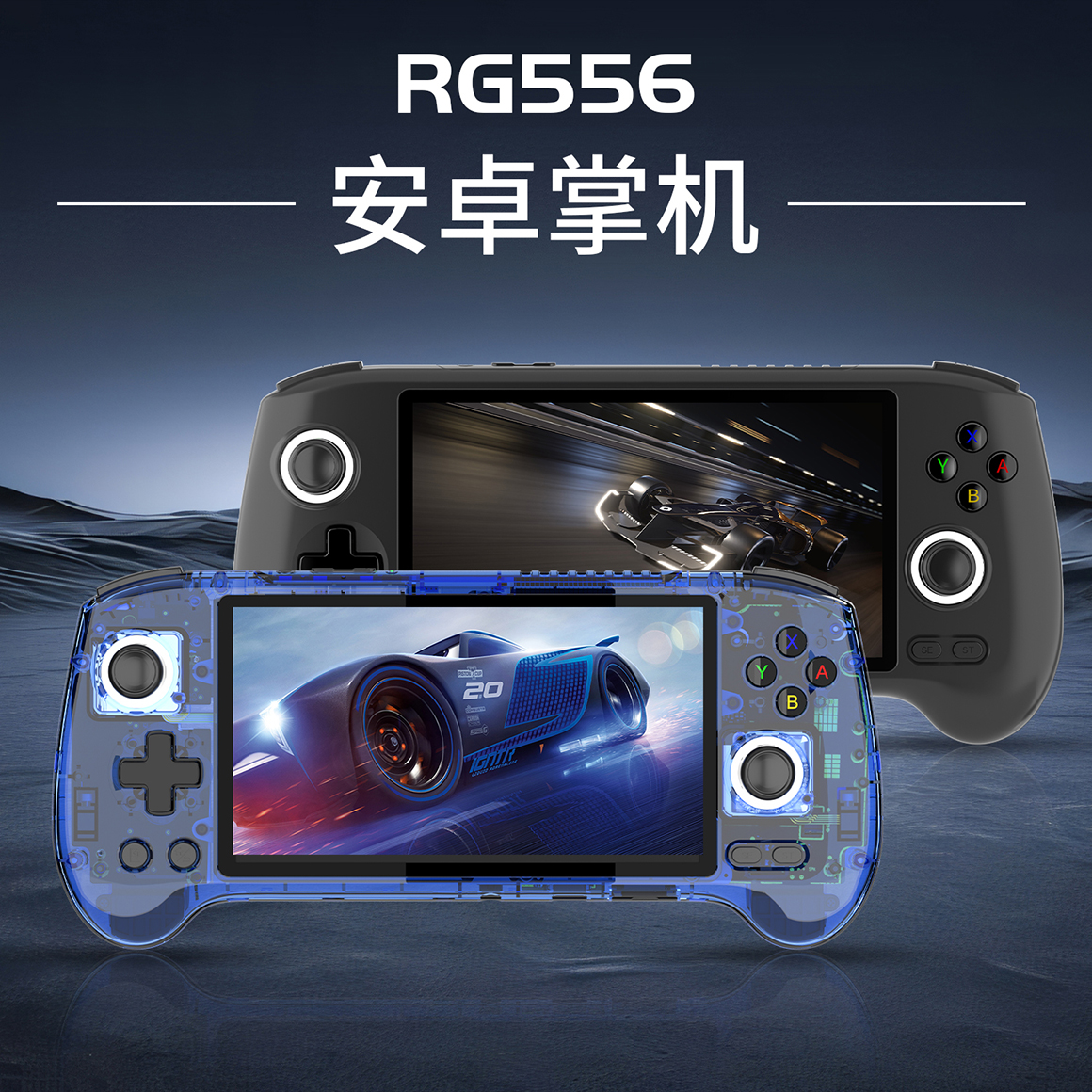 RG 556(图1)