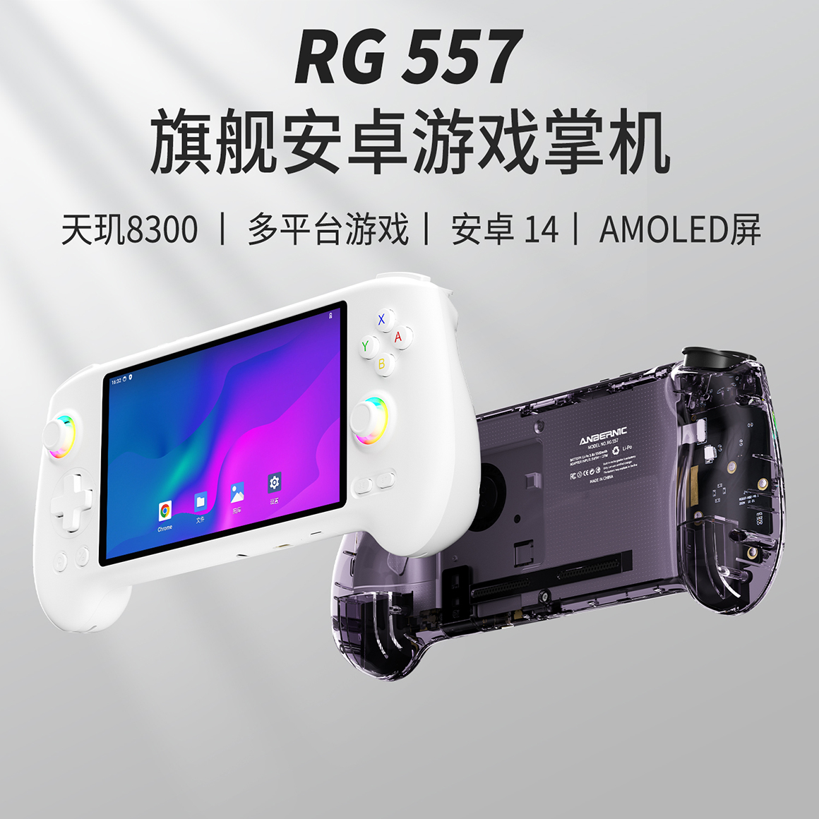 RG 557(图1)