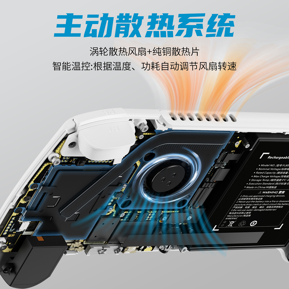 RG 557(图4)