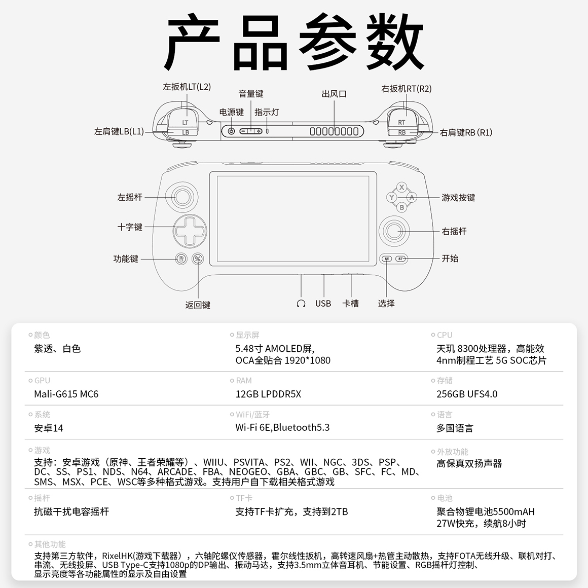 RG 557(图11)