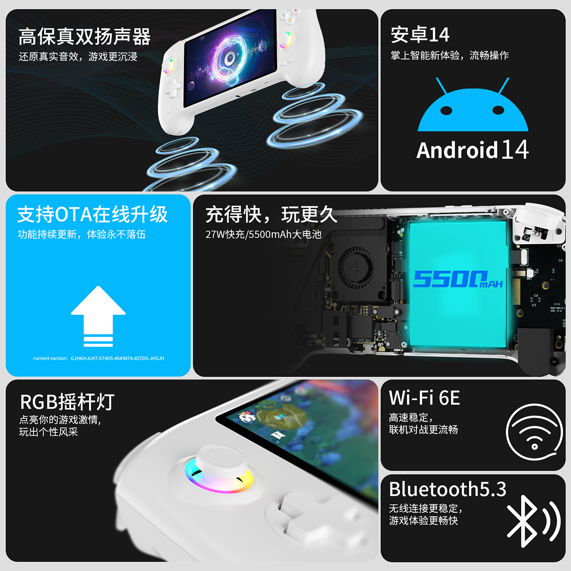 RG 557(图8)