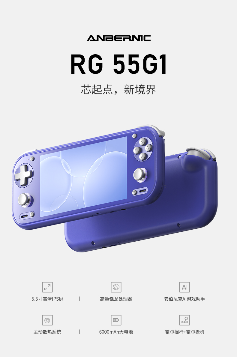 RG 55G1(图1)