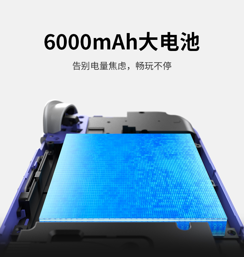 RG 55G1(图8)